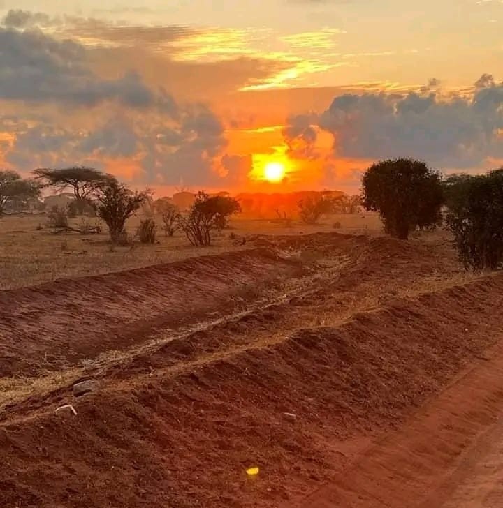 Gallery Image Sunset