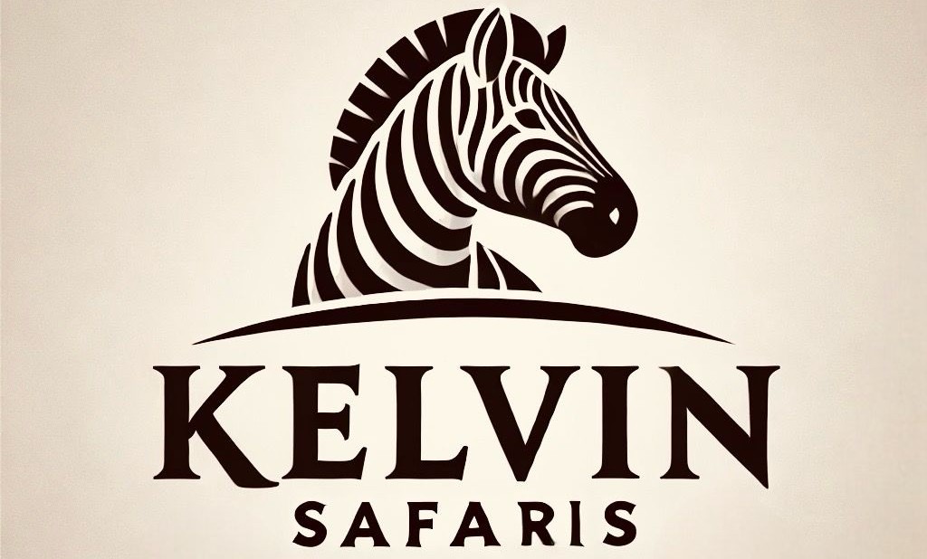 Jeep on a safari drive